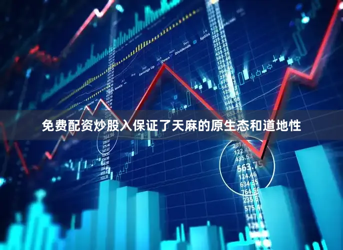 免费配资炒股入保证了天麻的原生态和道地性
