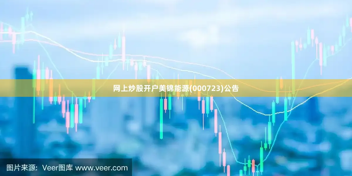 网上炒股开户美锦能源(000723)公告